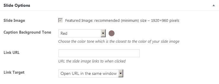 Slide options meta box