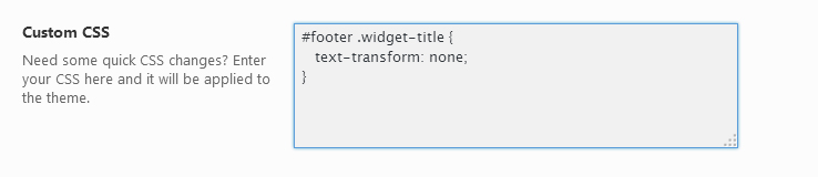 Theme options - custom CSS