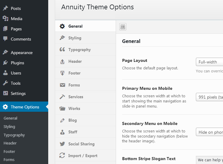 Theme Options admin screen