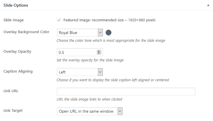 Slide options meta box