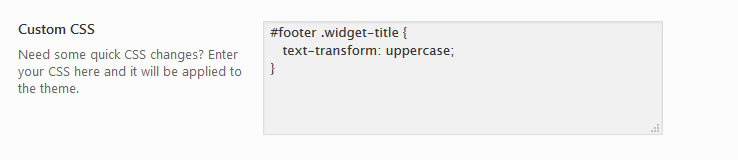 Theme options - custom CSS