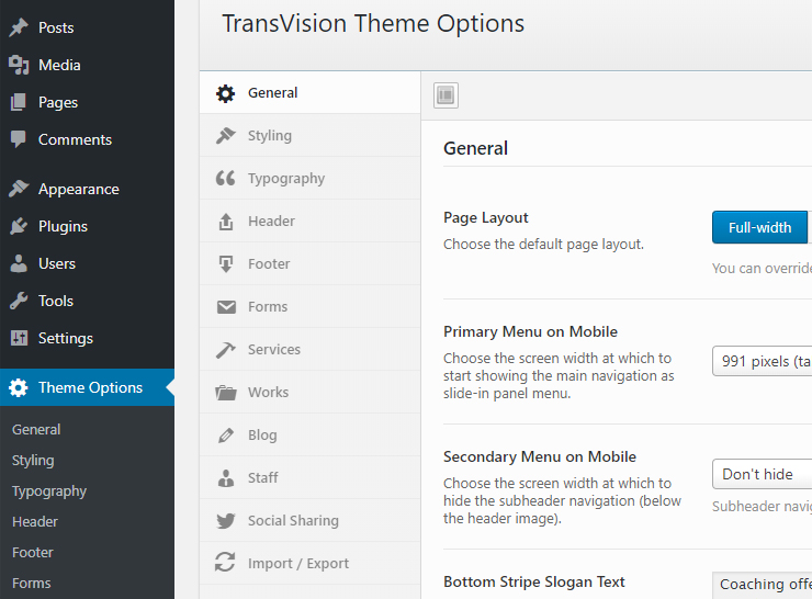 Theme Options admin screen